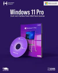 WINDOWS 11 PRO DVD PACK